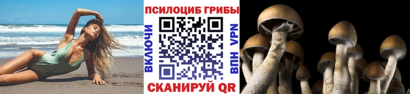 что такое наркотик  Невельск  Псилоцибиновые грибы GOLDEN TEACHER 
